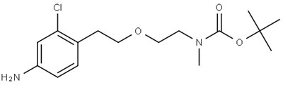 CAS#2722698 - 01-1|Tert-Butyl (2- (4-amino-2-chlorophenethoxy) एथिल) (मिथाइल) कार्बामेट